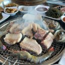 돼지가좋은세상