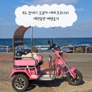 애견나라 | 우도 전기차 오픈카 대여 코코나라 애견동반 여행후기