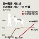대학애견용품 네이버블로그