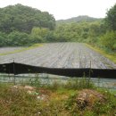 종석농장 이미지