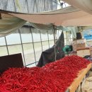 진형농장 이미지