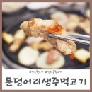 돈덩어리주먹고기