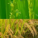 주식회사 천도 이미지