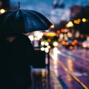 달달한 밤 - 거제시 | 달달한 밤