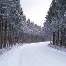 제주의 겨울! 그 특별한 여행에 초대합니다 1월22일~27일 발길이 닫지 않는 구석구석 이미지