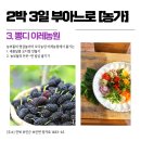 이레올래 이미지