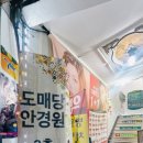 도매당안경 이미지