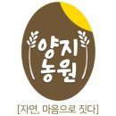 양지우체국 이미지