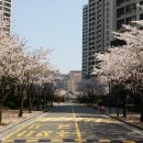 서초래미안아파트 이미지