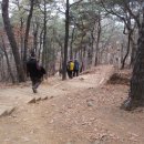 안곡초등학교 이미지