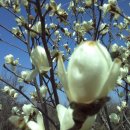 쌍둥이 농원 이미지