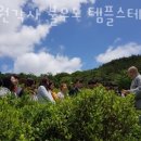 템플스테이 대원각사 불무도 템플스테이 사찰여행으로 마음 수양 쌓아요!