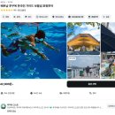 마이스피드