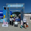한국체육대학교 (빙상경기장옆) | 춘천 의암호수욕장 2025년 딥워터솔로잉 준비물 꿀팁