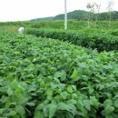 희망찬농장 이미지