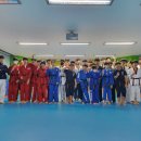 연세경인태권도 이미지