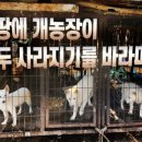 선례농장 네이버블로그