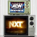 WWE NXT & 다이너마이트, CM 펑크, 로만 레인즈, 맨디 로즈 外 이미지