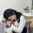 11월 월간결산