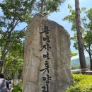 용인자연휴양림 | [육아나들이] 용인자연휴양림 방문후기, 도시락나들이, 주말나들이