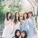 바바(BABA) 네이버블로그
