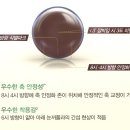 토탈구조 이미지