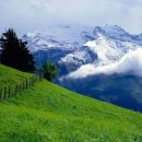 디앤비빌딩 이미지