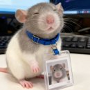 술독에빠지다 이미지