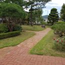 보림조경 이미지