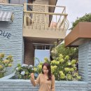 유메르 래글런 울 브이 니트 카멜 후기
