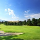 대영프라자 이미지