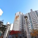 대전대정초등학교 이미지