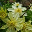 은혜농장2 이미지