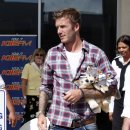 윌리스병원 이미지