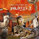 캐니언파크 네이버블로그