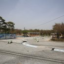 은어송이테마공원 이미지