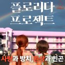 션모텔 | 플로리다 프로젝트 The Florida Project (2017) 리뷰