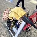 저스트유도짐 | 장인, ⚠️공안에게 잡힌 썰⚠️ , 동방명주, 페이다추, 헤이티, FASINO 추천메뉴, 홍챠오 공항 출국 후기