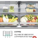 [W8. 신혼가전] LG전자 베스트샵 OO점 가전졸업