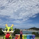 연곡면사무소 | 강릉 연곡해변 연곡솔향기캠핑장 아이와 오토캠핑 E501 E504 준성수기 방문 후기