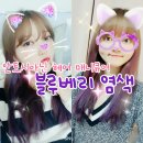사랑새 안토시아닌 헤어 매니큐어 블루베리 - 셀프 보라색 염색!