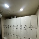 메이져복싱 오송점 이미지