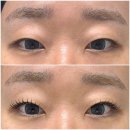 속눈썹쟁이 | [부산 서면] 씨엘로영 :: 서면 속쌍 속눈썹 연장 후기, 눌리고 꺾이는 속눈썹도 살아나는 스킨래쉬