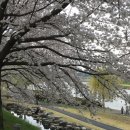 동천인형뽑기 이미지