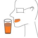 프룩(FRUK) 이미지