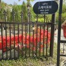 스테이 수양호 이미지