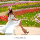 테마정원 이미지