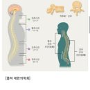 ■국가유공자등록및소송시참고하세요(2) 이미지