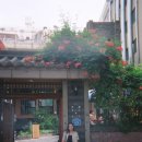 양천칼라현상소 네이버블로그