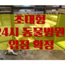 메트로동물병원 이미지